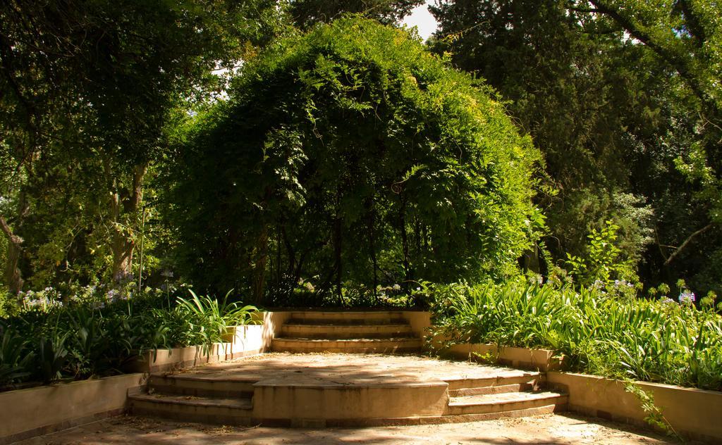ברנדסן Estancia Monte Viejo מראה חיצוני תמונה