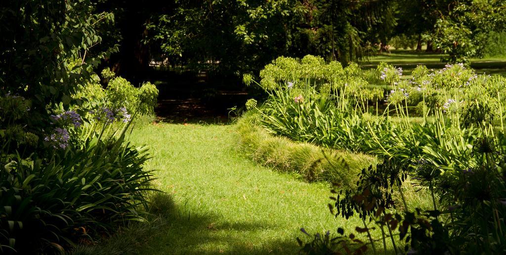 ברנדסן Estancia Monte Viejo מראה חיצוני תמונה